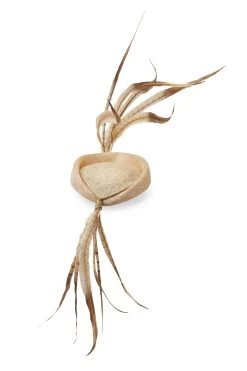 Lapsang Natural Percher Hat -Hat Couture Shop LAPSANG NATURAL 3